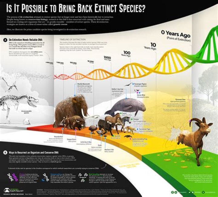 Question: What Species Will Be Extinct By 2050