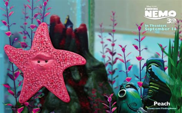 What type of starfish is Peach in Finding Nemo?