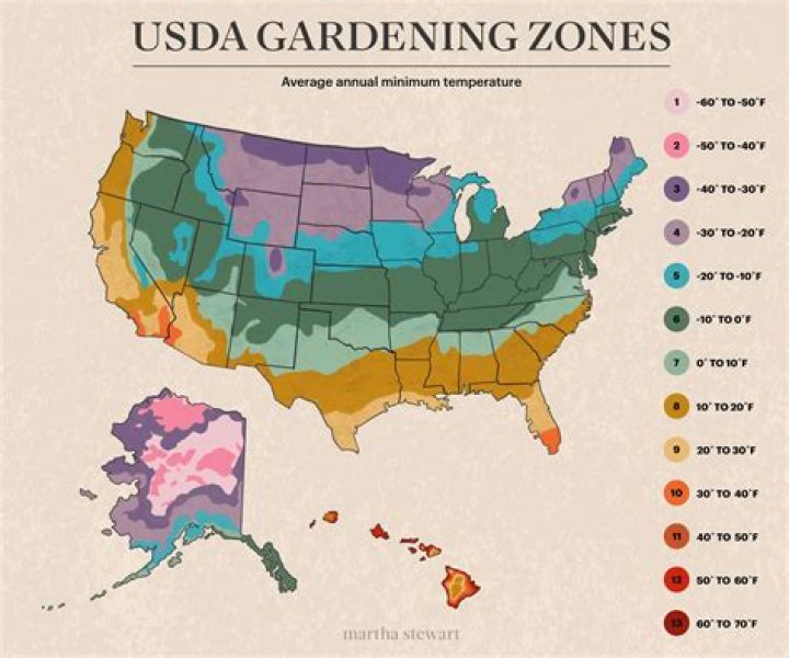What Zone Is Washington State For Gardening