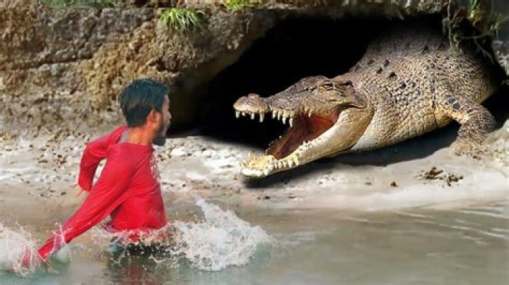 When a crocodile attacked Modi! – India TV