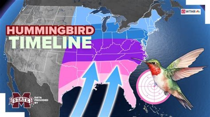 Quick Answer: When Do Hummingbirds Come To Michigan