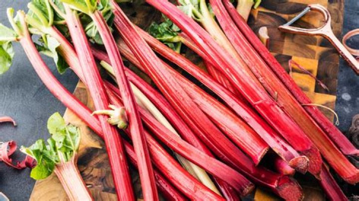Quick Answer: When Is Rhubarb In Season