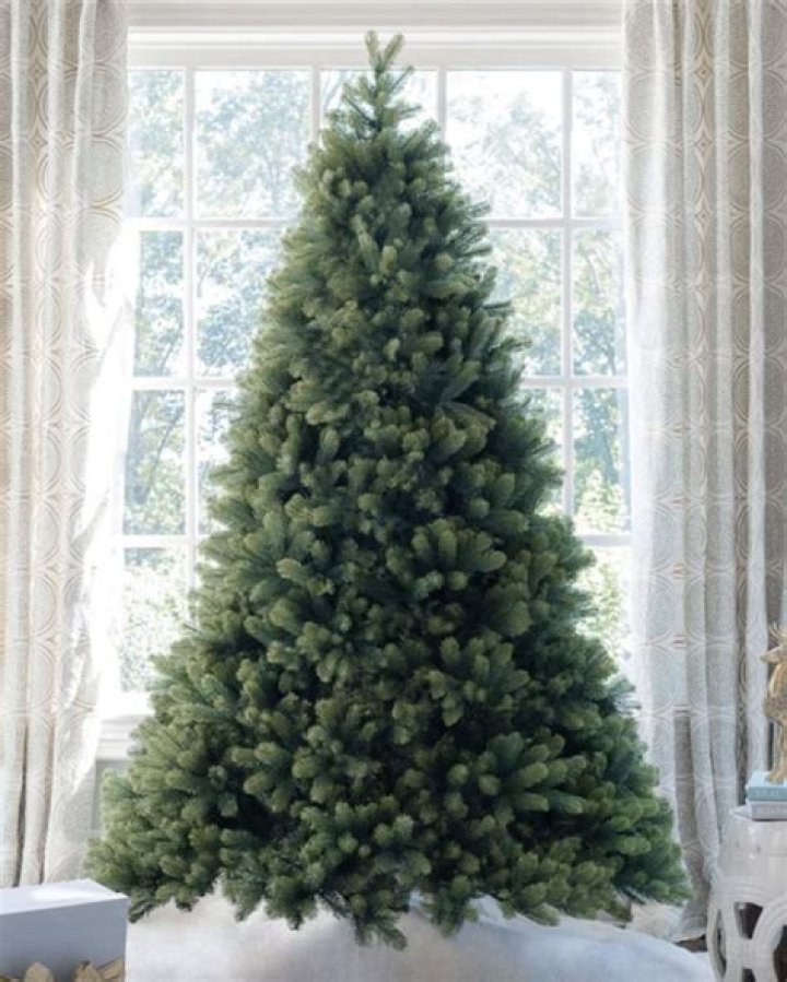 Timing Is Everything: When Should You Buy A Christmas Tree?
