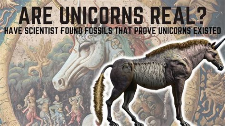 Quick Answer: Where Do Unicorns Live In Real Life