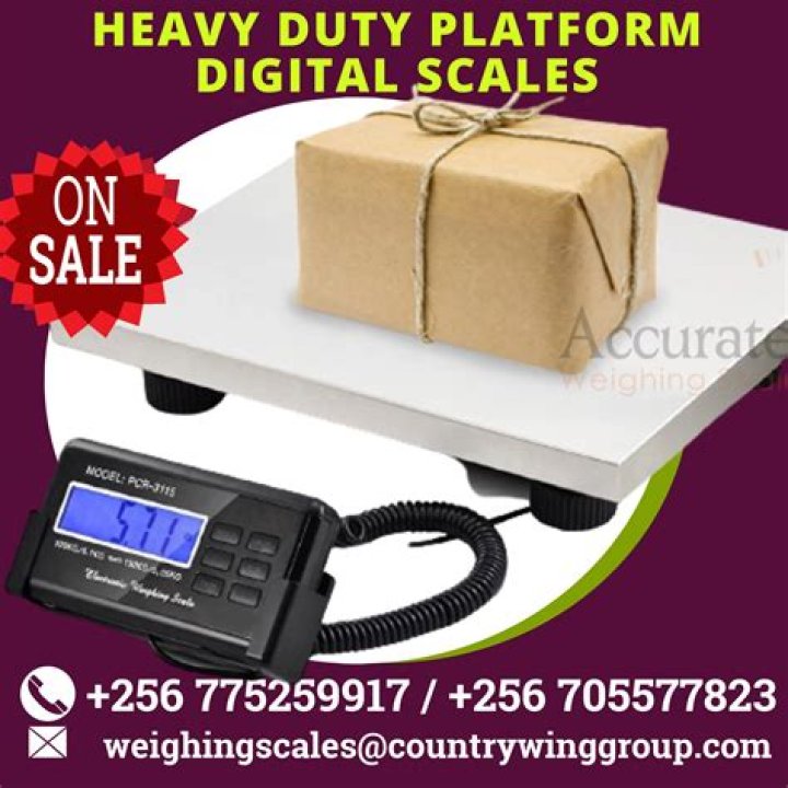 Quick Answer: Where To Buy Scales For Scale Mail