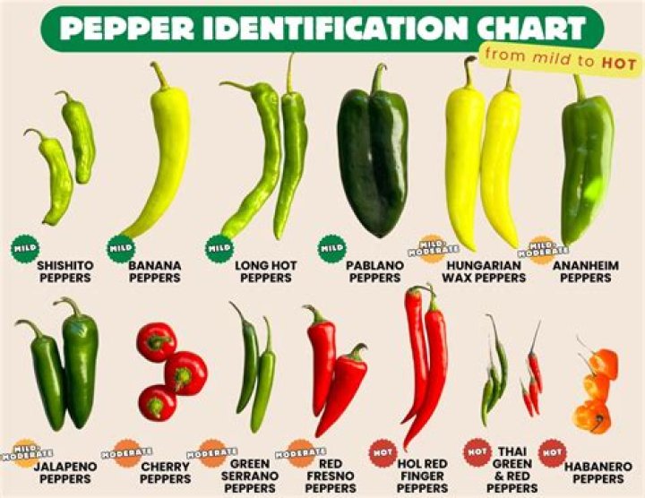 Which is hotter banana pepper or jalapeno?