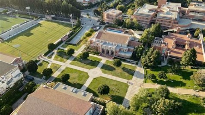 Who was UCLA student Andrea DelVesco and what happened to her?