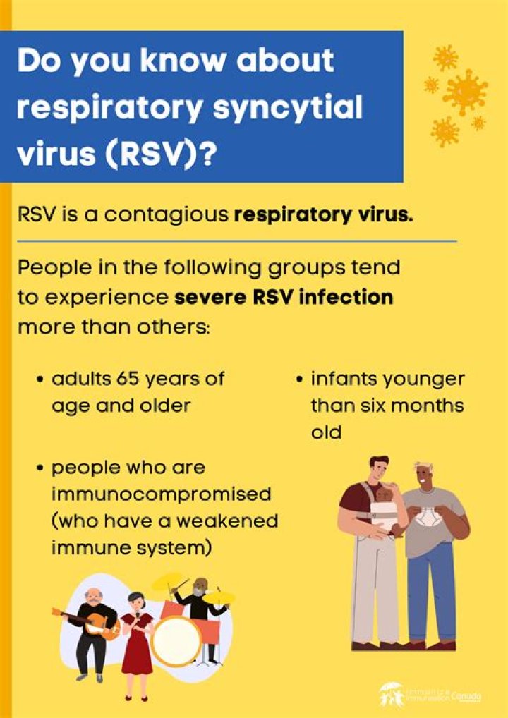WHO chief in Brazil to assess Zika virus outbreak – India TV