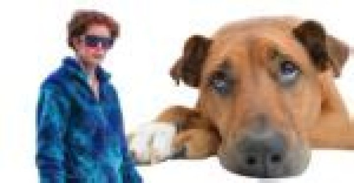 Who Is Dog Daddy & What Did Augusto Deoliveira Do?