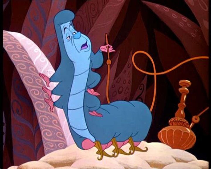 Question: Who Is The Caterpillar In Alice In Wonderland