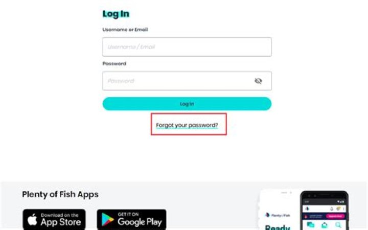 Quick Answer: Why Did I Get A Plenty Of Fish Security Code