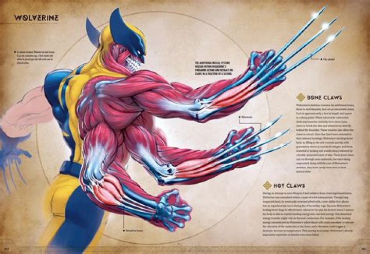 Unraveling The Mystery: Why Does Wolverine's Built-in Pickaxe Not Work?