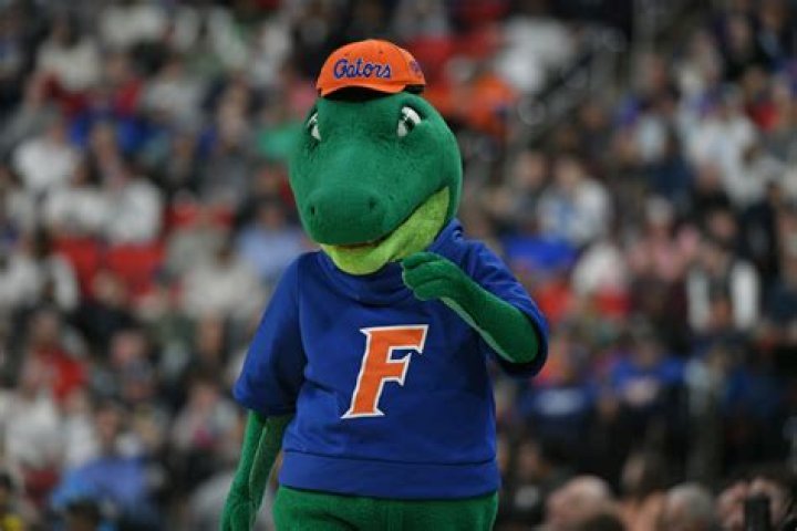Why is SFSU mascot the Gators?