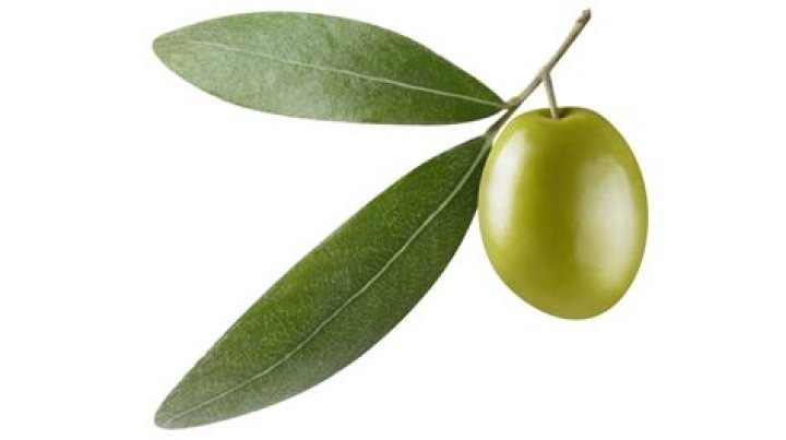 Why Killer Victor Feguer Oddly Requested A Single Olive Before His Execution