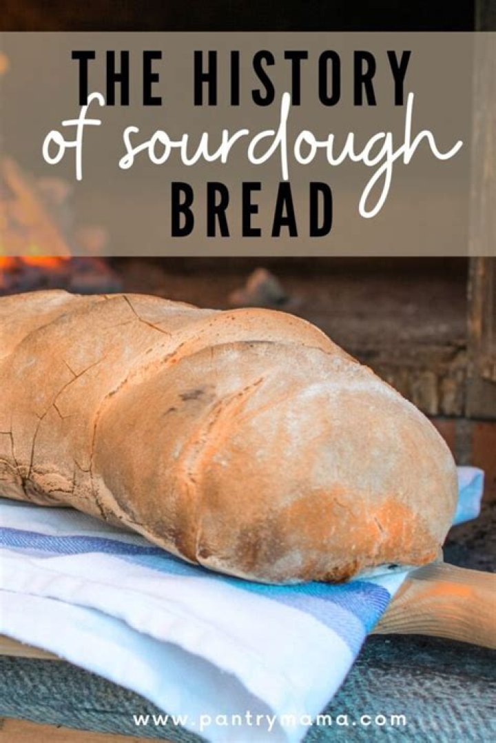 Wild Culture: A History of Sourdough