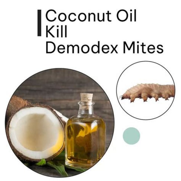 Will coconut oil kill plants?