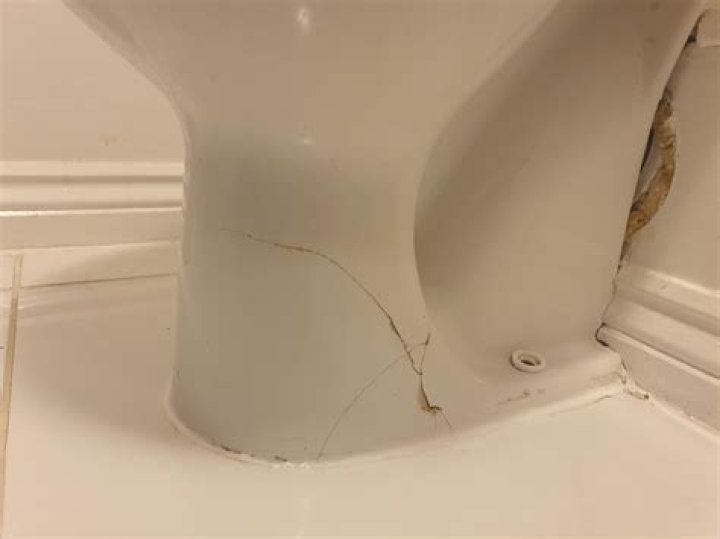 Quick Answer: Will Flex Seal Work On A Cracked Toilet Tank