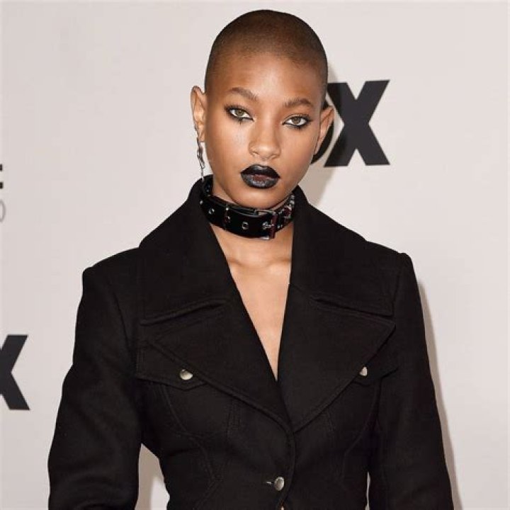 Willow Smith, 13, Lies in Bed With Shirtless Actor Moises Arias, 20