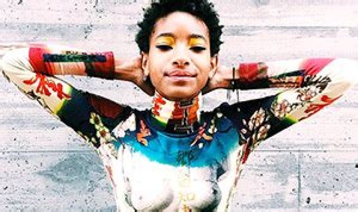 Willow Smith Posts Crazy "Topless" Instagram Photo