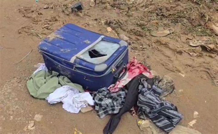 Woman's Body Found in Suitcase in Georgia Dumpster 35 Years Ago Identified