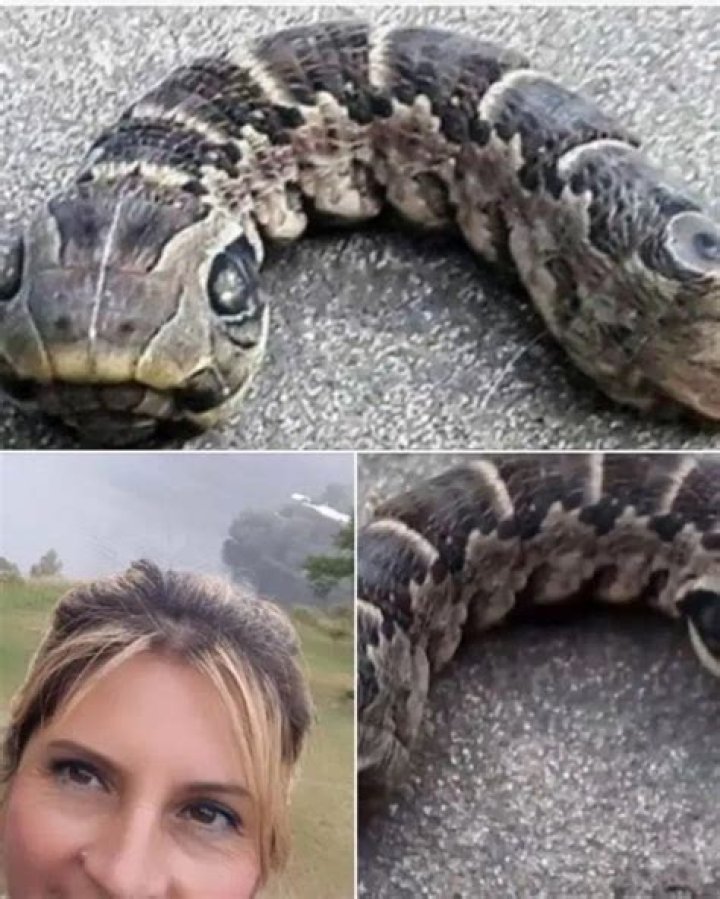 Woman discovers strange snake-like creature – you won’t believe what it really is