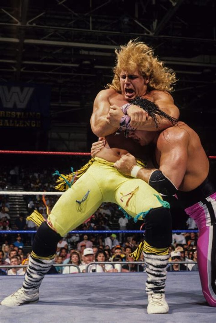 WWE legend Bret Hart feared he would STRANGLE wrestling rival Shawn Michaels after becoming consumed with 'real' hatred