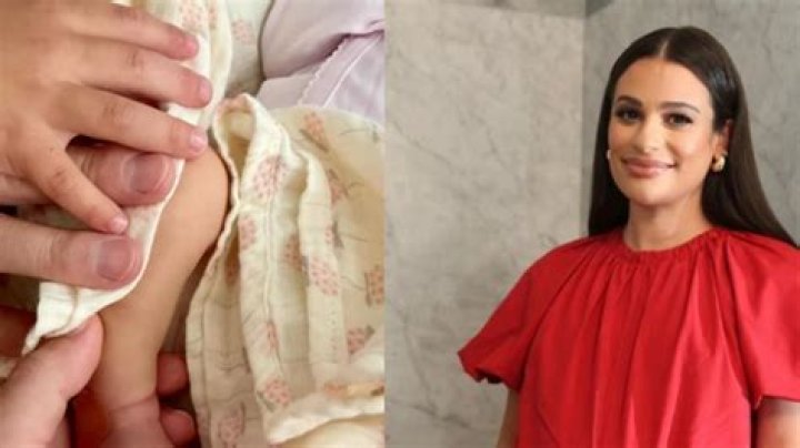 Zandy Reich: A Closer Look At His Movies And Career